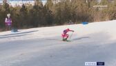 Pekin 2022 - skoki narciarskie. Upadek Spicowa na ostatnim okrążeniu biegu łączonego 2x15 km