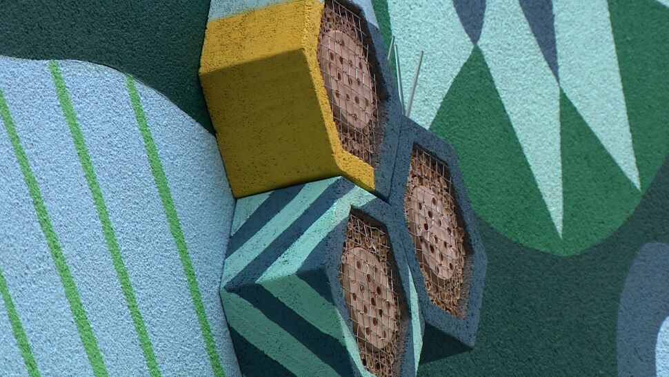 We Wrocławiu powstały murale z hotelikami dla pszczół