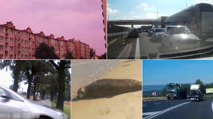  Pirates on the road, seal Celebrity or pink sky? Matter of the week Contact 24 