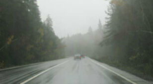 Foggy morning. Drive carefully
